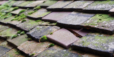 Llanymynech roof repair costs